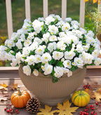 Ivydale Artificial Fake Flowers Plants for Outdoor Outside Fall Decor, Faux Silk White Camellia UV Resistant Realistic for Front Door Porch Patio Balcony Garden Yard Decoration, 3 Large Bundles