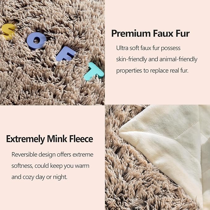 GONAAP Fuzzy Faux Fur Throw Blanket Twin Size Frosty Brown Super Soft Cozy Plush Fuzzy Shaggy Blanket for Couch Sofa Bed (Frosty Brown, Twin(60"x80"))