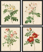 SIGNWIN Framed Vintage Colorful Wildflower Wall Art, Set of 4 Variety Floral Wall Decor Prints, Nature Wilderness Wall D¨¦cor for Living Room, Bedroom - 12"x16" Black