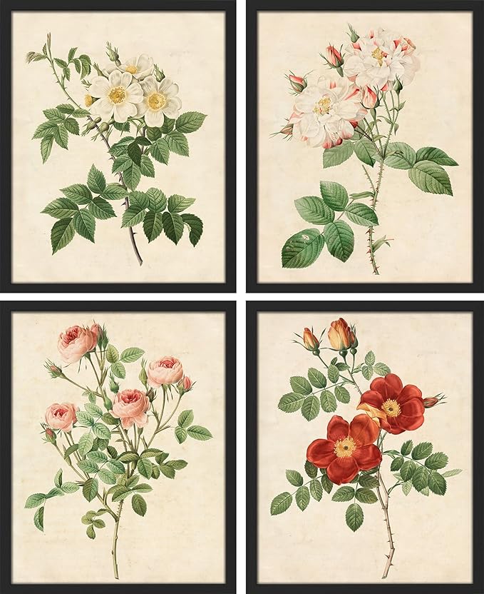 SIGNWIN Framed Vintage Colorful Wildflower Wall Art, Set of 4 Variety Floral Wall Decor Prints, Nature Wilderness Wall D¨¦cor for Living Room, Bedroom - 12"x16" Black