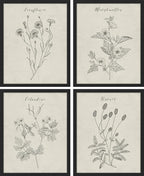 SIGNWIN Framed Vintage Wildflower Wall Art, Set of 4 Plant Collage Drawing Wall Decor Prints, Nature Wilderness Wall Décor for Living Room, Bedroom - 11"x14" Black