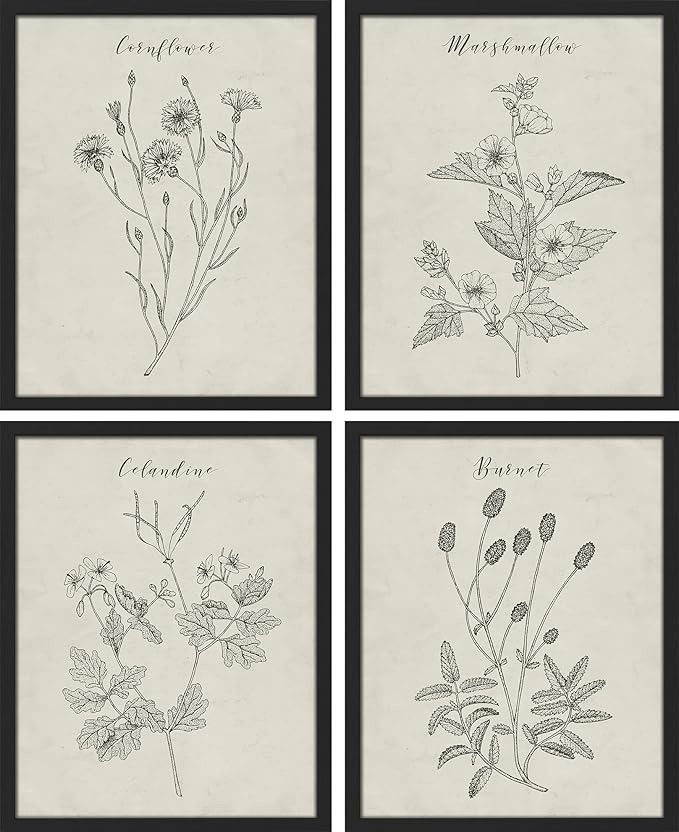 SIGNWIN Framed Vintage Wildflower Wall Art, Set of 4 Plant Collage Drawing Wall Decor Prints, Nature Wilderness Wall Décor for Living Room, Bedroom - 11"x14" Black