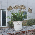 Faux Plants Outdoor 8 Bundles Artificial Flowers Stems 18.9 in Large Fake Greenery Realistic for Home Garden Planters Front Door Decor Outside