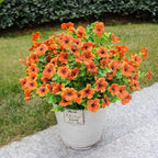 Fake Mums Artificial Outdoor Flowers 12 Bundles Autumn Fall Plants Daisy Faux Orange Blooms for Front Porch Window Box Patio Table Centerpieces Decor(Orange Daisy)