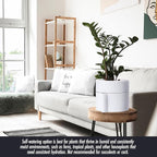 Phoenix Vine 8 Inch Self-Watering Planter Pot with Terracotta Insert, Deep Water Reservoir, and Ceramic-Alike BPA-Free Plastic Planter Pot for Plant, Modern Planter for Houseplants, White, 53-A-T-1