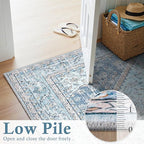 DCX Machine Washable Blue and Beige Area Rugs 5x7, Non Slip Stain Resistant Vintage Floral Rug for Living Room Bedroom Nursery, Soft Low Pile Large Carpet