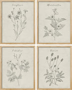 SIGNWIN Poster Bathroom Decor 8"x10", Wall Art Room Decor Multicolor for Living Room, Bedroom, Office Vintage Wildflower Plant Collage Drawing Nature Wilderness Plant Art Floral Botanical