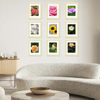 12 Packs 8.5 by 11 Picture Frames, Display 6x8 with Mat or 8.5x11 Without, for Award Certificate Diploma Document, 8.5 x 11 Frames Bulk Set of 12 Photo Frames Set for Wall and Tabletop, Gold