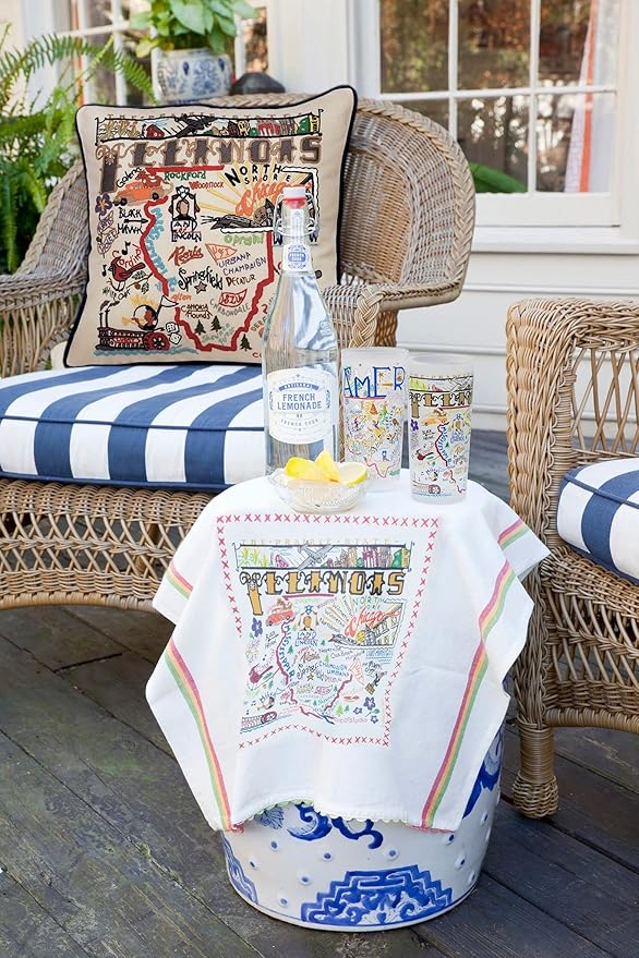 Catstudio Illinois Embroidered Decorative Throw Pillow