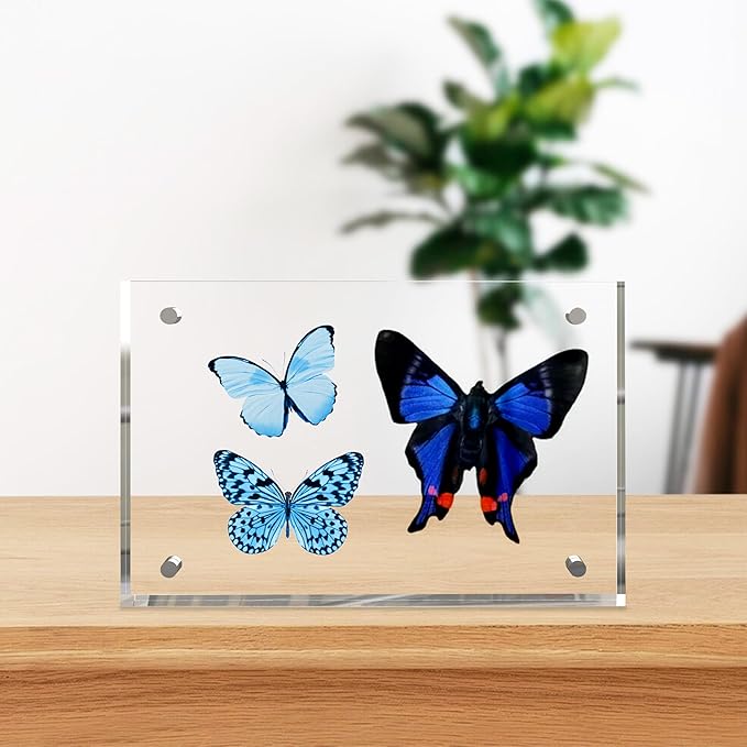 5x7 Inches Acrylic Picture Frames 3 Pack, Double Sided Magnetic Photo Frames,Free Standing on Desk or Table Clear Picture Frames
