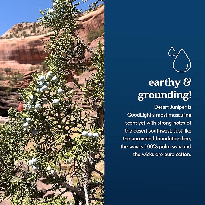 Paraffin-Free Scented Candle, Tin Candles, Birthday Gifts for Women & Men, 30-Hour Burn Time (Desert Juniper, 6 oz)