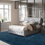 Area Rug 7x10 Living Room: 7x10 Rugs for Living Room-Navy Blue Shag Rug for Bedroom-Soft Fluffy Modern Indoor Soft Shaggy Fuzzy Floor Carpet (Navy Blue/7x10 Feet)