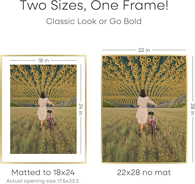 Homeforia 22x28 Picture Frame Gold, High End Metal 22 x 28 Large Poster Frames with Mat 18 by 24 for Photo, 22x28 Gold Frame Matted to 18x24 inch Print, 28x22 Frame, Tempered Glass, Wall Kit, Set of 1