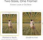 Homeforia 22x28 Picture Frame Gold, High End Metal 22 x 28 Large Poster Frames with Mat 18 by 24 for Photo, 22x28 Gold Frame Matted to 18x24 inch Print, 28x22 Frame, Tempered Glass, Wall Kit, Set of 1