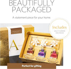 AGRARIA Into The Woods PetiteEssence Collection, Handmade Sola Flower Reed Diffuser Set of 3, Luxury Home Fragrance Scented Oil Diffuser Gift Set