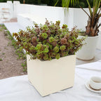 alyptus Artificial Fall Leaves Plant – 8PCS Outdoor Fake Greenery Boxwood Shrubs UV Resistant Fake Plants for Porch, Patio, Thanksgiving or Autumn Home Decor - Fall Leaves