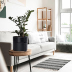 Phoenix Vine 6.5 Inch Self-Watering Planter Pot with Terracotta Insert, Deep Water Reservoir, and Ceramic-Alike BPA-Free Plastic Planter Pot for Plant, Modern Planter for Houseplants, Black, 53-A-S-2