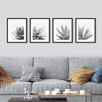 SIGNWIN Framed Black White Snake Plant Agave Cactus Succulent Wall Art, Set of 4 Floral Botanical Wall Decor Prints, Nature Wilderness Wall Décor for Living Room, Bedroom - 12"x16" Black