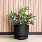Elly Décor 10 inch Plastic Cylinder Planter Pot with Self-Watering Saucer and Drainage Hole,Lightweight & Extremely Durable, 10"x 10", Black