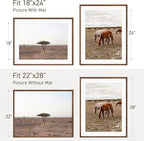 22x28 Poster Frame Set of 2 Natural Solid Walnut Photo Frames with 18x24 Removable Mat Wall Hanging Large Handcrafted Frame with HD Plexiglass Wall and Tabletop Display Large Picture Frame