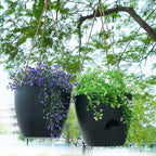 10 Inch Self Watering Hanging Pots, 2 Pack Hanging Planters with 40oZ Deep Reservior for Indoor Outdoor Plants Flowers, Black