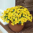 Daisy Artificial Flowers for Outdoors Fall Autumn Decoration, 6 Bundles Fake Mums Yellow Silk Flowers for Outside Look Real UV Resistant Faux Flowers Plants for Planter Front Door Home Indoor Porch