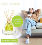 AGRARIA PetiteEssence Flower and Reed Diffuser Set, Handcrafted Sola Flower Botanical Home Fragrance, Scented Oil Diffuser Gift Set for All Occasions