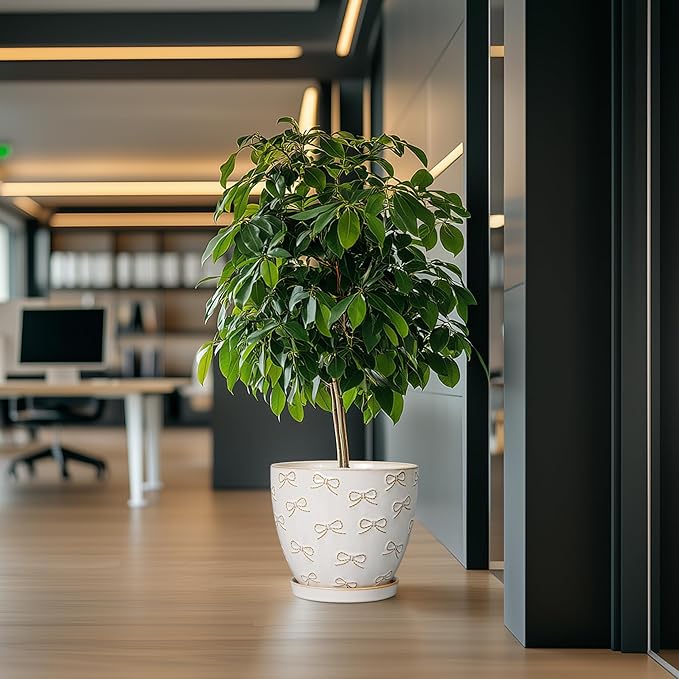 Pots for Plants 10 Inch - Ceramic Planter Large Plant Pot for Indoor Plants Outdoor Round Flower Pot with Drainage Hole and Saucer Home Garden Decor White