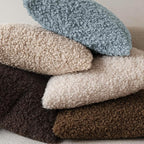 Foindtower Set of 2 Curly Teddy Wool Pillow Covers Decorative Boucle Textured Lumbar Throw Pillow Faux Fur Sherpa Pillowcases Sheepskin Fuzzy Cushion Case for Sofa Bedroom Car 12"x20" Misty Blue