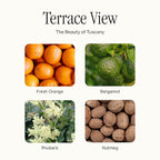 Preston Lane The Scented Candle, Luxury Candle with Vegan Soy Wax Blend, Terrace View, 7.5 Oz