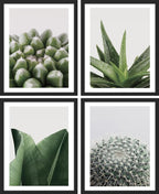 SIGNWIN Framed Tropical Island Wall Art, Set of 4 Green Desert Plant Cactus Snake Plant Wall Decor Prints, Nature Wilderness Wall Décor for Living Room, Bedroom - 11"x14"Black