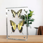 8x10 Inches Acrylic Picture Frames 3 Pack, Double Sided Magnetic Photo Frames,Free Standing on Desk or Table Clear Picture Frames