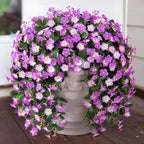 HyeFlora 2PCS Artificial Fall Hanging Flowers for Outdoors, Faux Daisy Muns Plants Fake Silk Orchid Long Stems UV Resistant for Home Garden Wall Party Indoor Outdoor Decor(Light Fuchsia and Fuchsia)