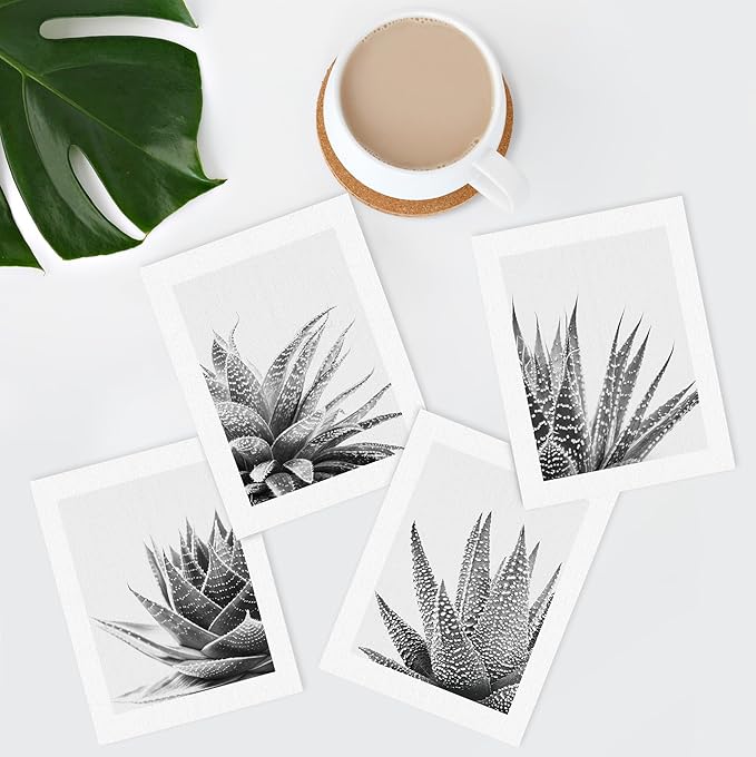 SIGNWIN Poster Set Black White Snake Plant Agave Cactus Succulent Close Up Floral Botanical Photography Modern Art Decorative Scenic Multicolor Nature Wilderness for Bedroom - 12"x16"x4