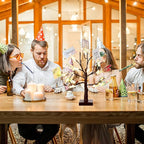 Mudder Money Holder Tree Present Card Holder with 12 Clear Clips LED Birch Twig Lights Tabletop Display Tree for Christmas, Valentines, Memo, Photo, Wedding(Classic Style,Brown, Warm White)