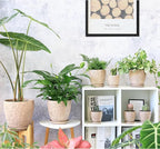 8 Inch + 6 Inch Retro Ceramic Planter Set of 2 with Drainage Hole and Saucer for Multiple Plants, Indoor-Outdoor Garden Pots for Succulent, Orchid, and Flower (Retro Peach)