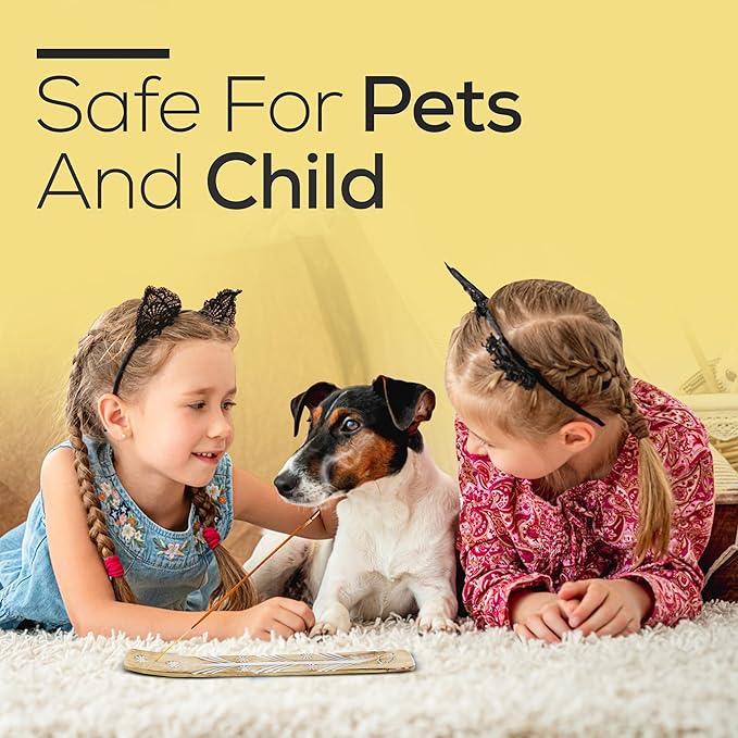 Satya Californian White Sage Incense Sticks 180 gm (15GM X 12 Pack) from Satya Mumbai and Raajsee Incense Sticks Holder Bundle, Free from Chemicals,Natural Insenses