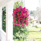Artificial Bougainvillea Faux Flowers Plants Baskets for Outdoor Outside Decoration, 3PCS Fake Silk Flowers Long Trailing Vines UV Resistant Realistic for Front Door Porch Patio Balcony, PurpleHotpink