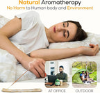 Satya Sandalwood Incense Sticks 180 gm (15GM X 12 Pack) from Satya Sai Baba Nag Champa and Raajsee Incense Sticks Holder Bundle, Free from Chemicals,Natural Insenses