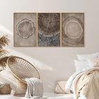 SIGNINART Beige Tree Ring Framed Canvas Wall Art Set, Abstract Black and White Rustic Wood Wall Decor, Neutral Wood Stump Artwork, Modern Art Prints for Bedroom Living Room Office 16"x24"x3