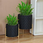 ARNIS Plants Pots with Stand, Set of 2 Planters, Unique Mid Century Decorative Metal Flower Pots with Drainage, 8.25 & 10.5 Inch, Black