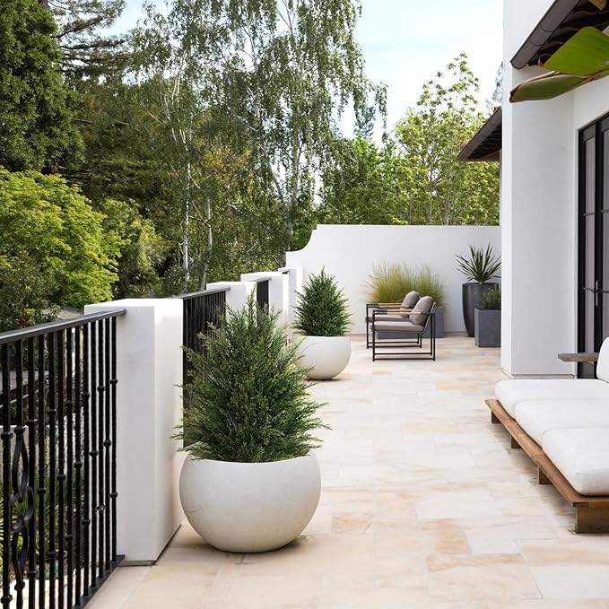 Artificial Topiary Ball Tree, Indoor Realistic Faux Boxwood Bush Potted Plants, Outdoor Fake Shrubs Cedar Evergreen Plants for Home Living Room Front Porch Decor (1, 2ft)