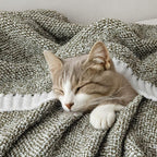 MIULEE Super Soft Throw Blanket for Couch, Olive Green Cozy Fluffy Warm Blankets Lightweight Knit Throw Blankets for Sofa, Bed, Chair, Living Room, Camping, Picnic, 60 x 80 inch