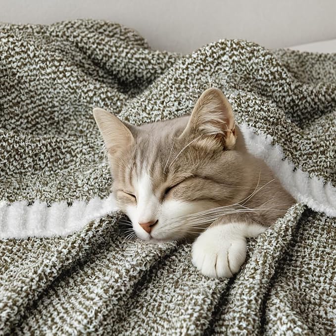 MIULEE Super Soft Throw Blanket for Couch, Olive Green Cozy Fluffy Warm Blankets Lightweight Knit Throw Blankets for Sofa, Bed, Chair, Living Room, Camping, Picnic, 60 x 80 inch