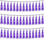 3P Purple Foil Fringe Metallic Tassel Streamers Banner Tassel Garland for Parade Floats, Bachelorette, Wedding, Birthday, Halloween, Christmas, Bridal/Baby Shower Party Decorations