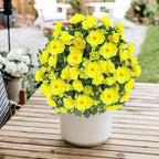 Artificial Boxwood Topiary Ball Trees with Ground Spikes UV Resistant Faux Greenery Shrubs Fake Shrubs for Outdoors, Realistic Faux Plants Bushes for Garden Porch Yard Patio Decor (Yellow)