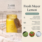 Paddywax Scented Candles Relish Collection Soy Wax Artisan Candle in Glass Jar with Lid, 9.5-Ounce, Fresh Meyer Lemon