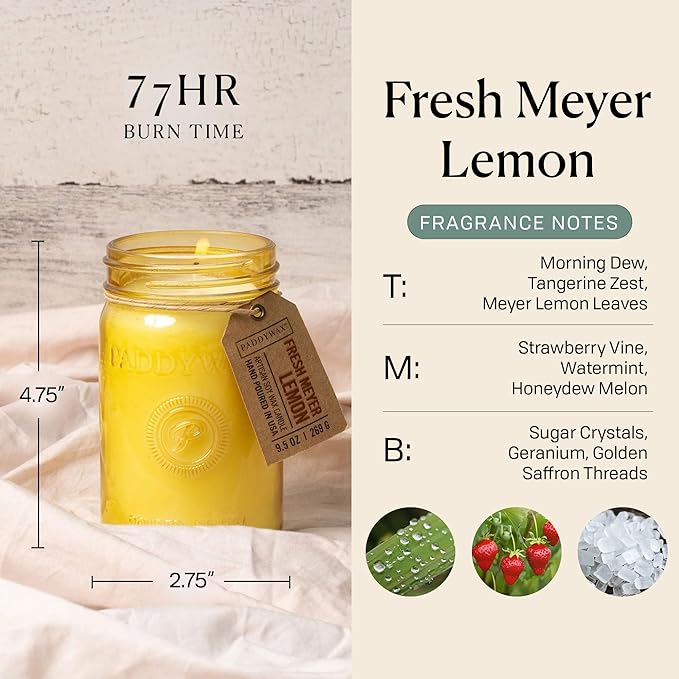 Paddywax Scented Candles Relish Collection Soy Wax Artisan Candle in Glass Jar with Lid, 9.5-Ounce, Fresh Meyer Lemon