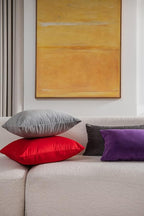 Throw Pillow Covers 24x24 Red: 2 Pack Cozy Soft Velvet Square Decorative Pillow Cases for Farmhouse Home Decor