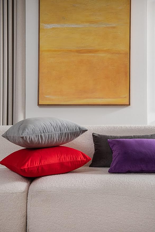 Throw Pillow Covers 22x22 Red: 2 Pack Cozy Soft Velvet Square Decorative Pillow Cases for Farmhouse Home Decor